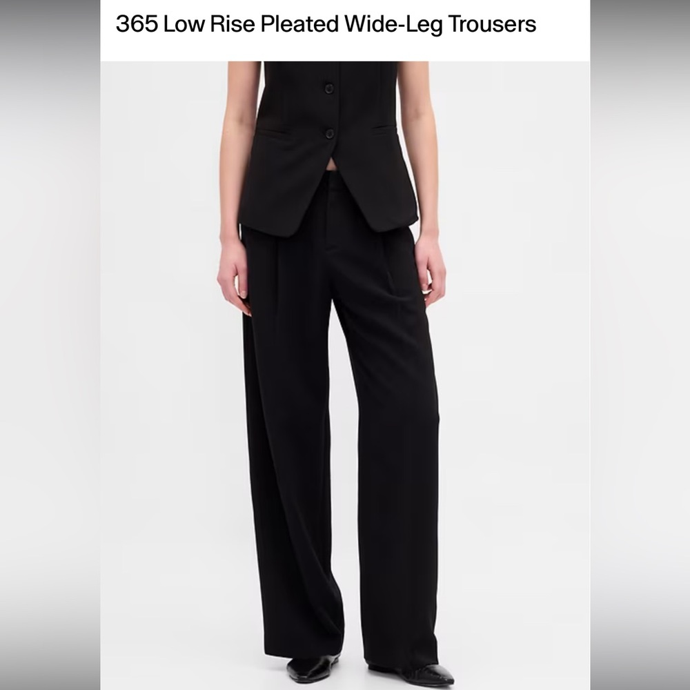 The Gap 365 Low Rise Pleated Wide-Leg Trousers